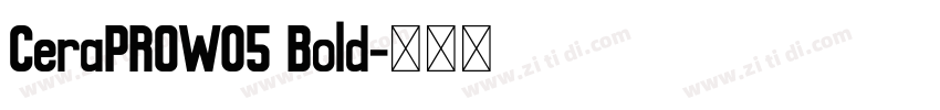 CeraPROW05 Bold字体转换